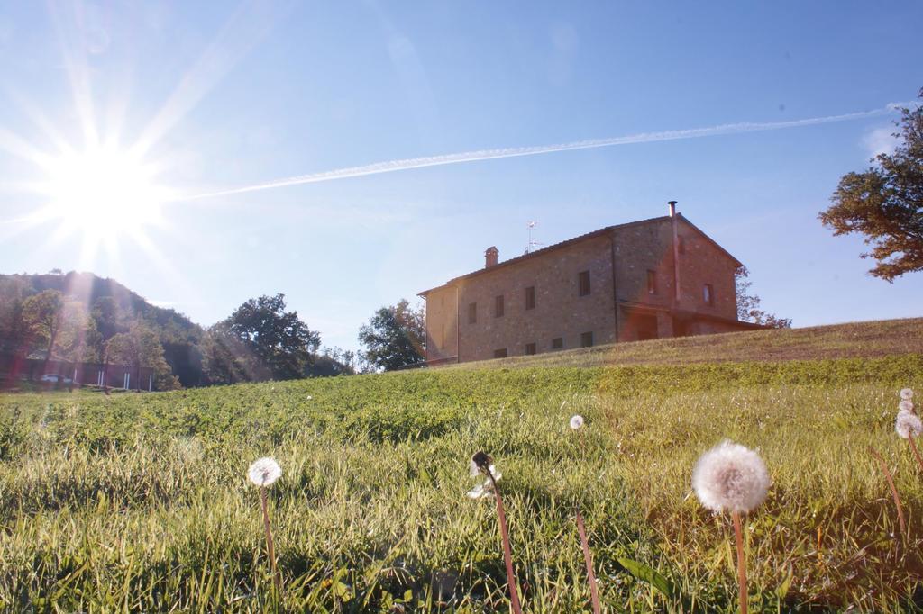 Agriturismo B&B Pratalbino San Piero in Bagno Camera foto